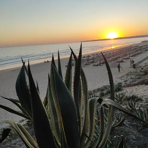 praia-gale-beach